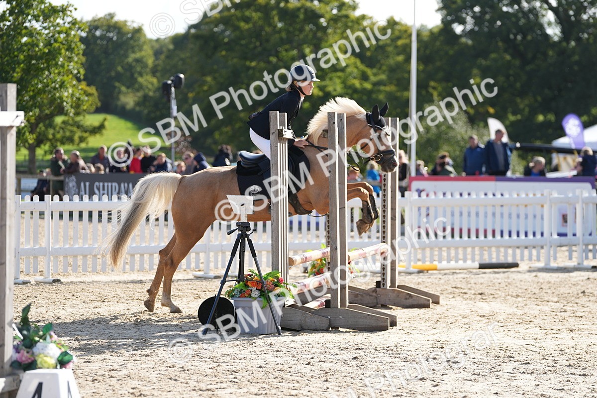 SBM_49254 - J8 - Junior Pony 65cm Championship