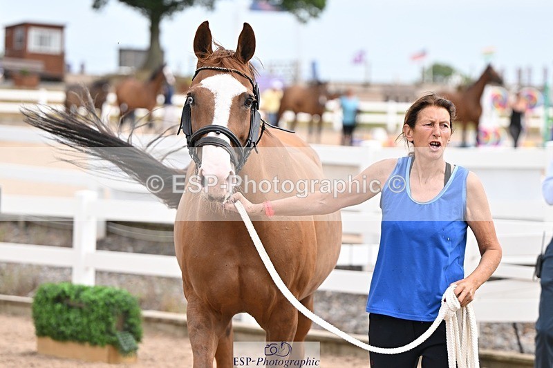 250716-150639-01632 - Trot Up 2.30 to 3.30