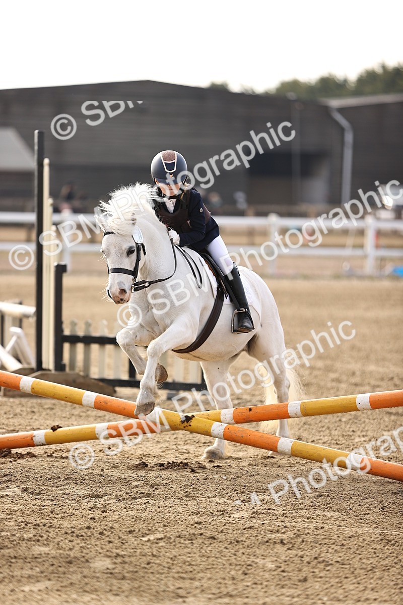 SBM_003056 - Class 1 - 40cm