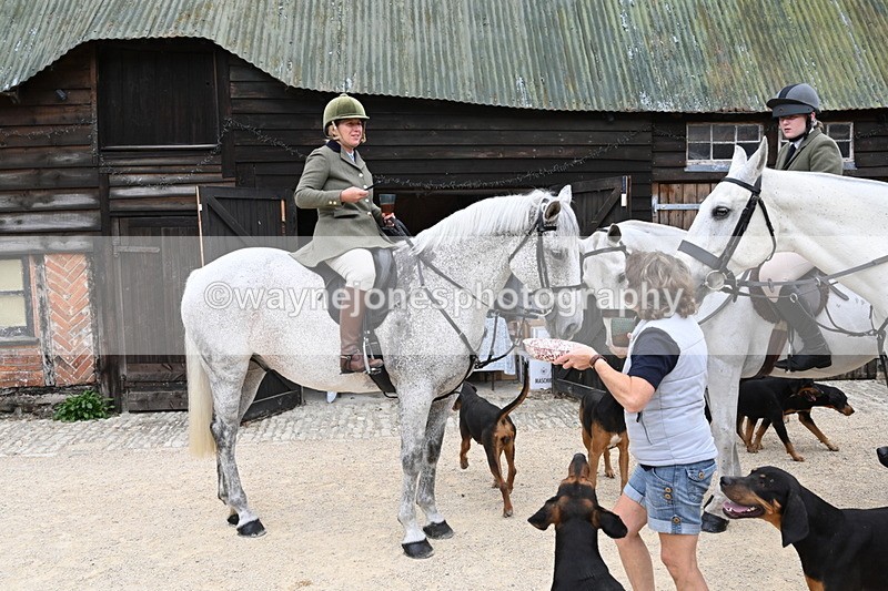 WJ6_3573 - Berks & Bucks - The Old farmhouse - Hound Exercise 20-08-25