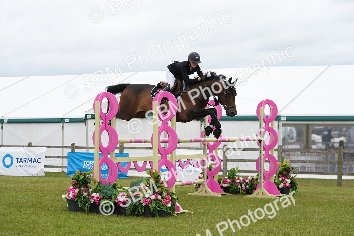 SBM_03098 - Class 201 - British Horse Feeds Speedi Beet Horse of the Year Show Grade  C