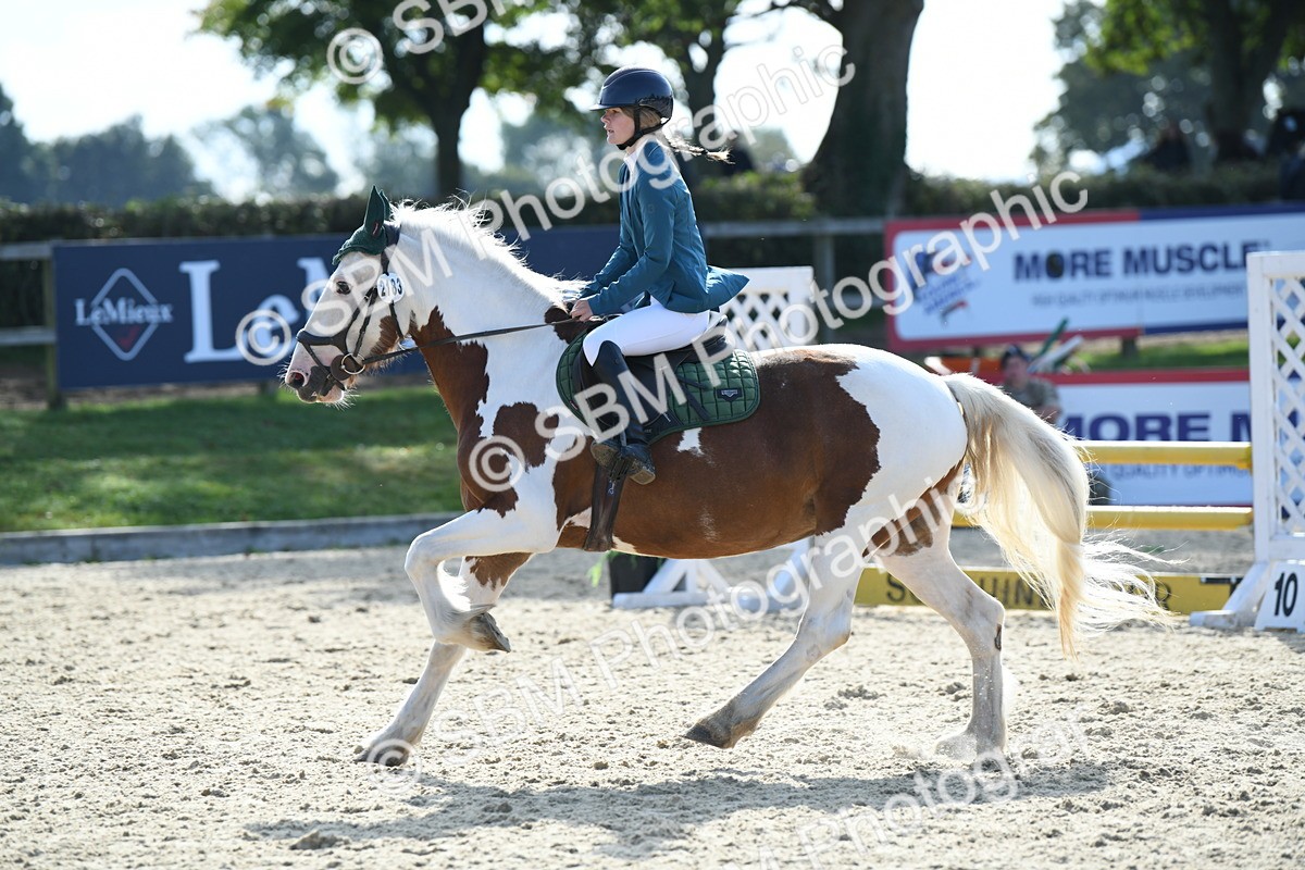 SBM_61593 - j25 - Junior Horse 80cm Championship