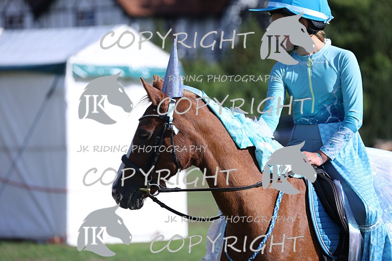 APP_4074 - Class 19 Fancy dress