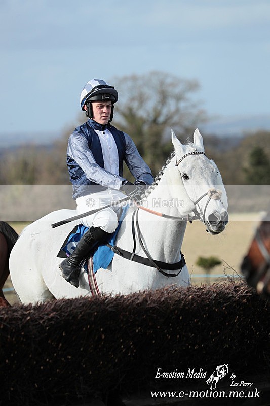 PtP 220225 796 - Kimblewick Point-to-Point  Kingston Blount 22/02/25