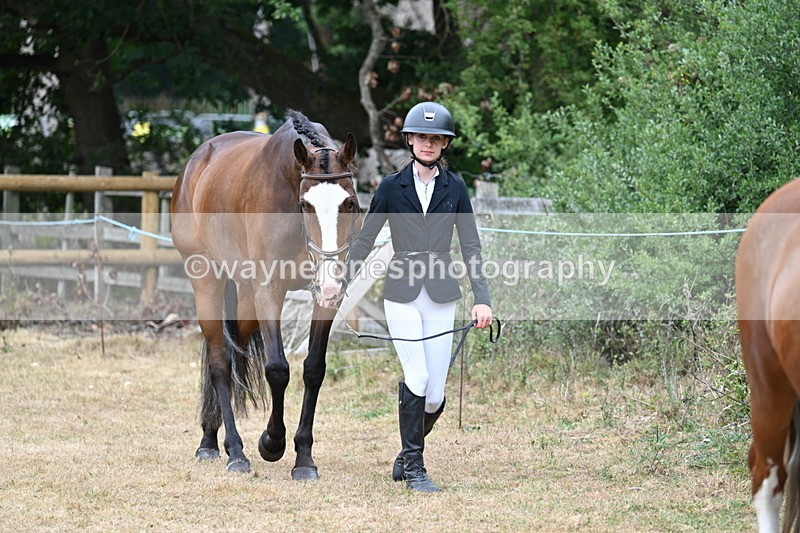 WJ7_8662 - Class 4a Prettiest Mare 14.2hh and over