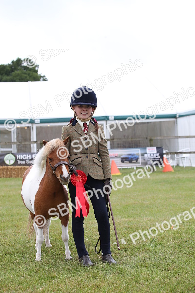 SBM_04013 - Class 23-25 - British Miniature Horse of the Year