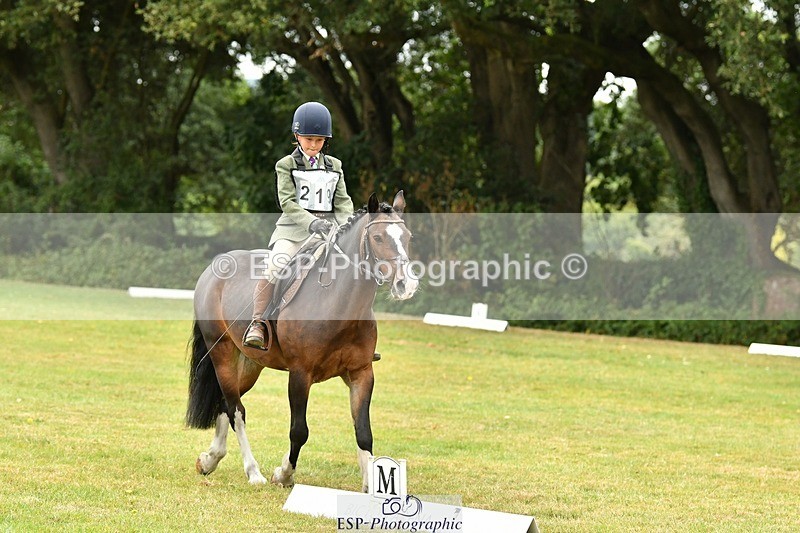 250820A-111425-04955 - 11am to 12