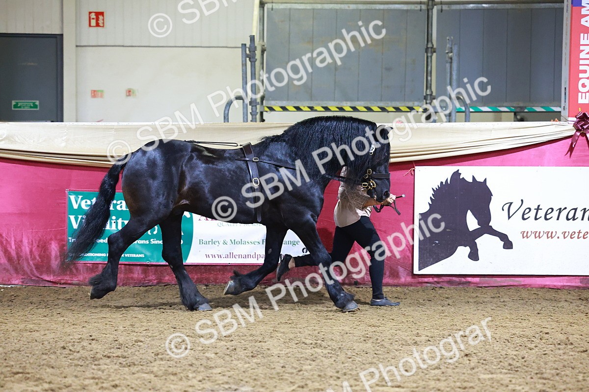 SBM_15222 - Class P - M&M Champ