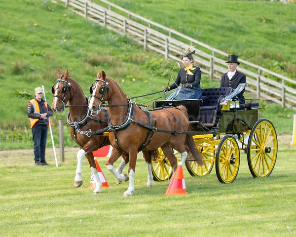 Attelage -645 - CIAT Glamis 2026