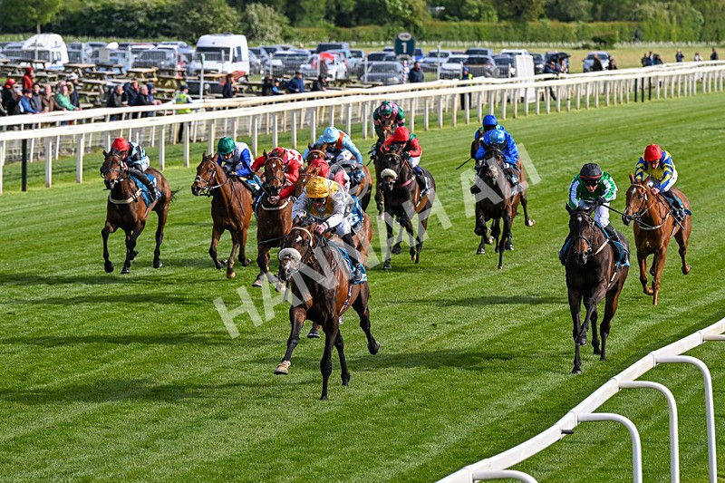 140526-Race 7-Arc Ole Ole-0398 - Race 7 5.15pm Frank Whittle Partnership Handicap
