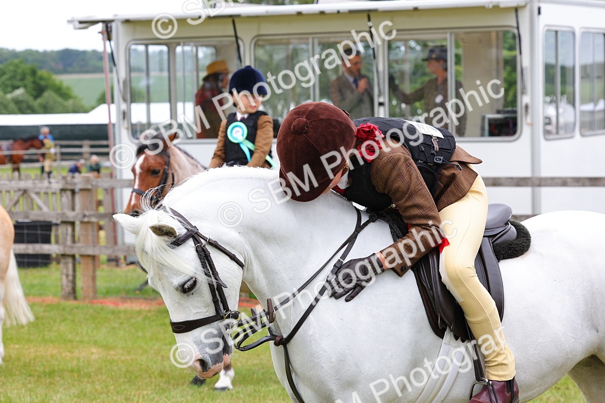 SBM_08874 - Class 42-43 - LIHS BSPS Heritage Working Sports Pony