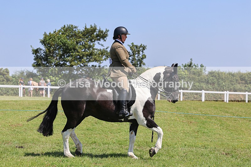 IMG_2321 - Class 38: Veteran Ridden