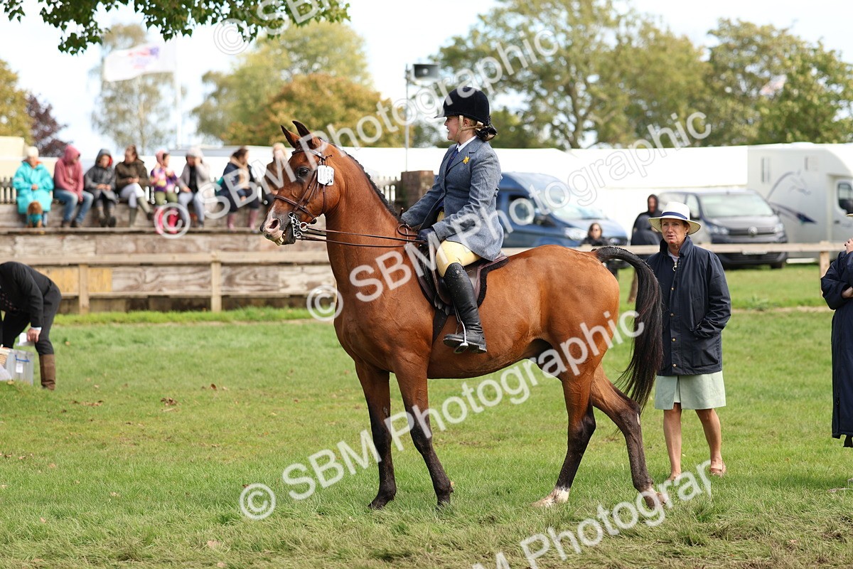 SBM_47708 - S28 - Veteran Ridden