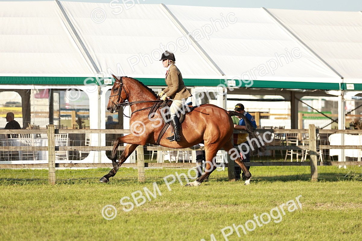 SBM_20487 - Class 117-119 - Sport Horse Working Hunter