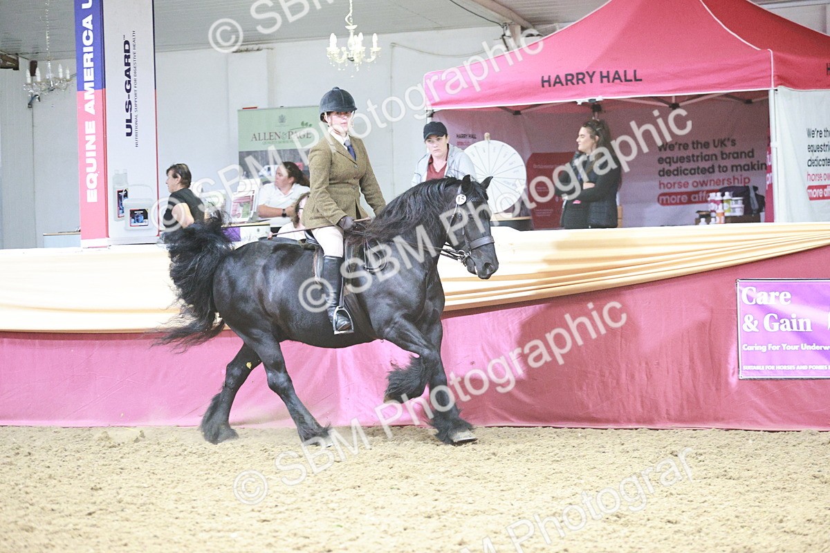 SBM_08830 - Class 12R - Regional Ridden Pre-Vet
