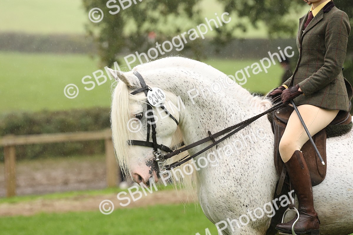 SBM_72788 - S70 - Traditional Cob Ridden