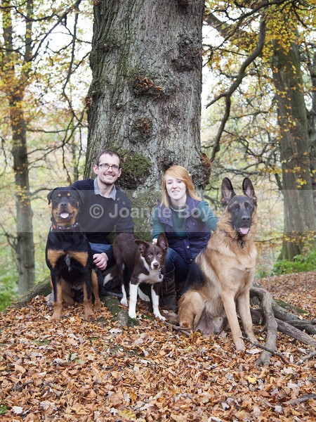 melcal3 - Dog Portrait Photography