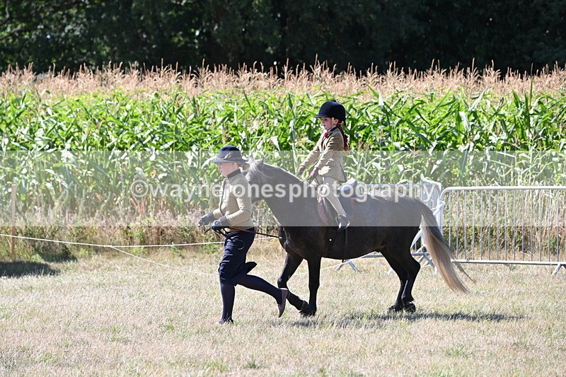 WJ6_7966 - Class 36 Lead Rein