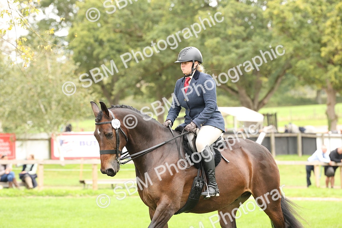 SBM_66386 - S66 - Hunter Ridden