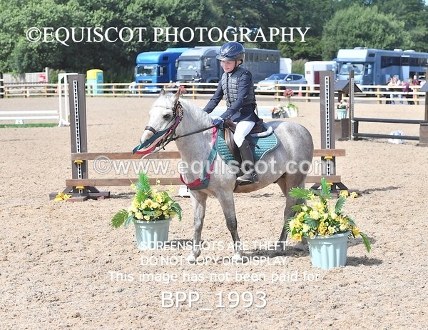 BPP_1993 - DERBY CLASS 5 - 60CM