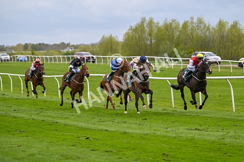 240424-Race 2-Restless Prince-7728 - Race 2