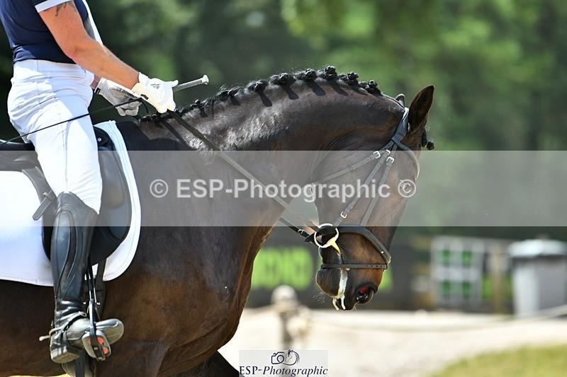 230623-130935-02326 - Cls 4 Novice 37Q 12.45 to End