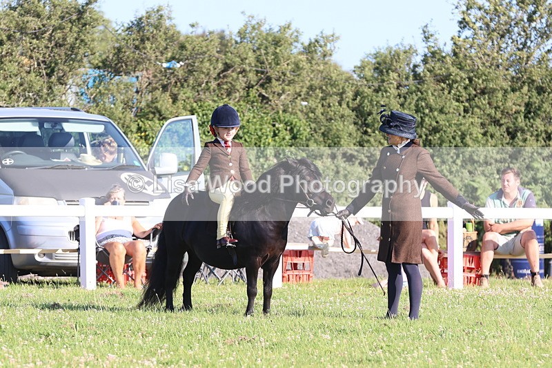 JPP_0857 - Class 16: Cornish Combination Leading Rein