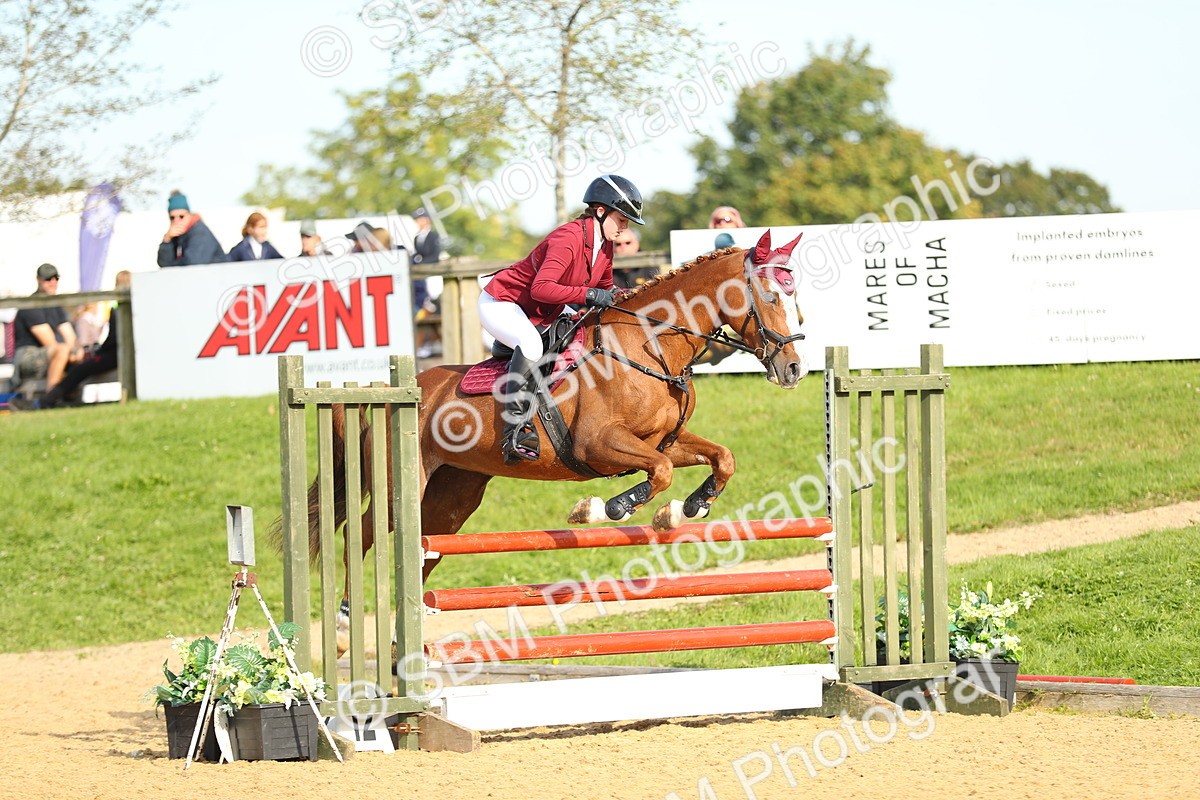 SBM_60422 - J41 - Grand Tour 95cm Championship