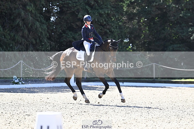 250522A-101232-02638 - B-310-Kitty.King-LISCARROW.FERNHILL