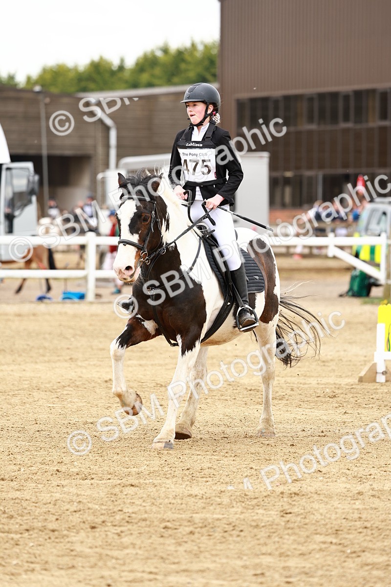 SBM_008321 - Class 4 - 70cm