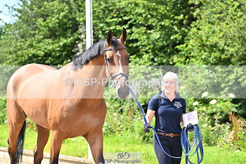240718A-105236-00917 - Trot Up 11am to 12pm