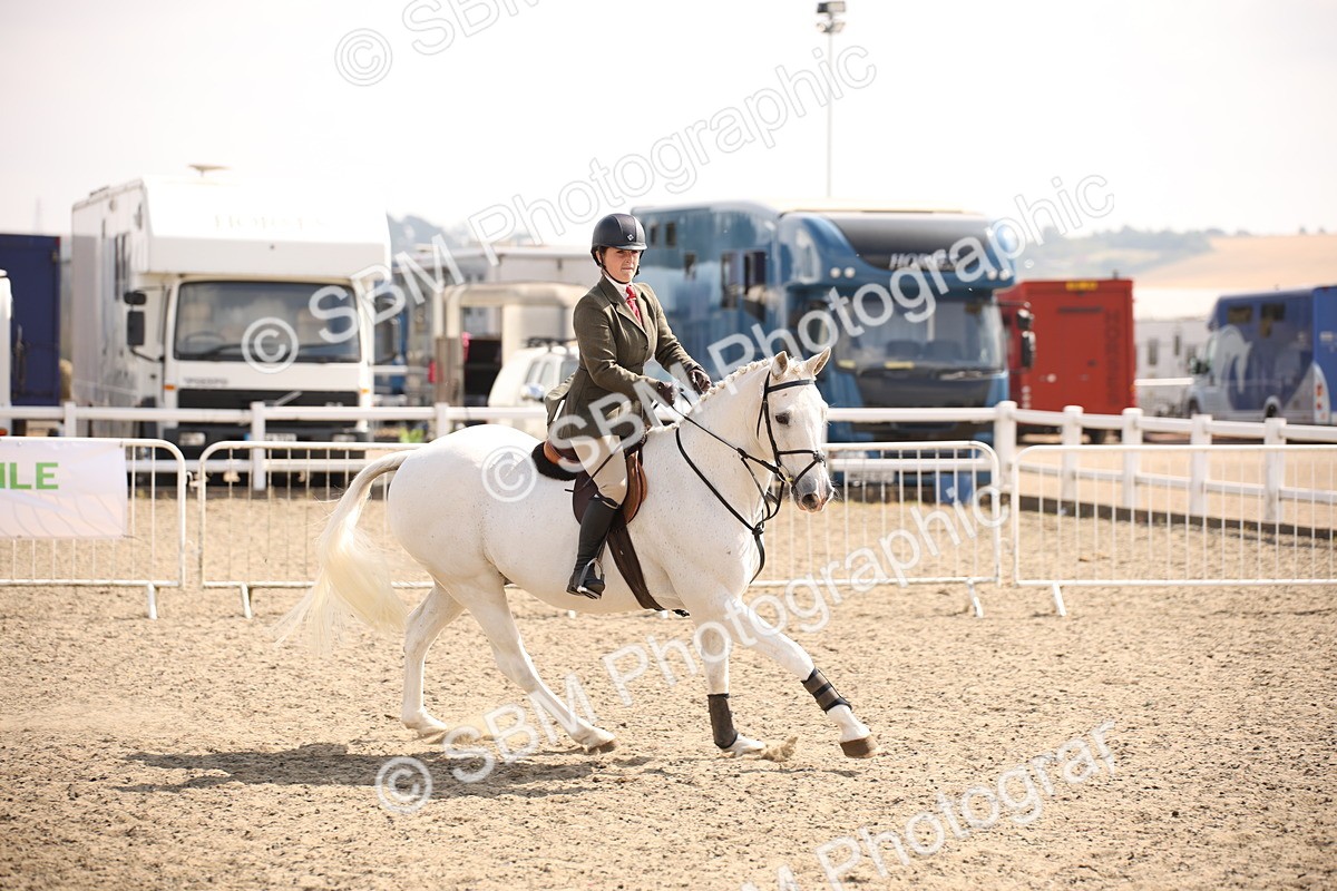 SBM_14166 - Class 407a - Working Veteran 60cm (15-19