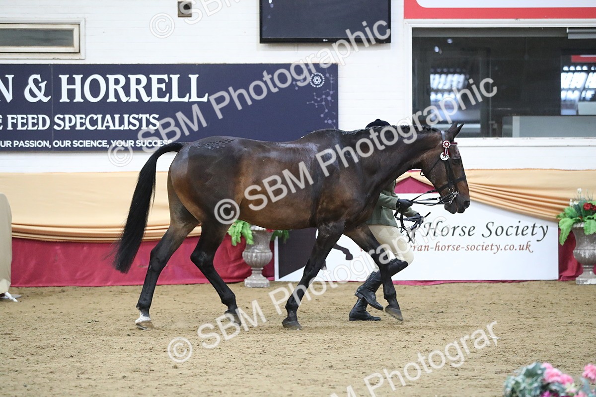 SBM_07330 - Class 10R Regional Ridden Diamond