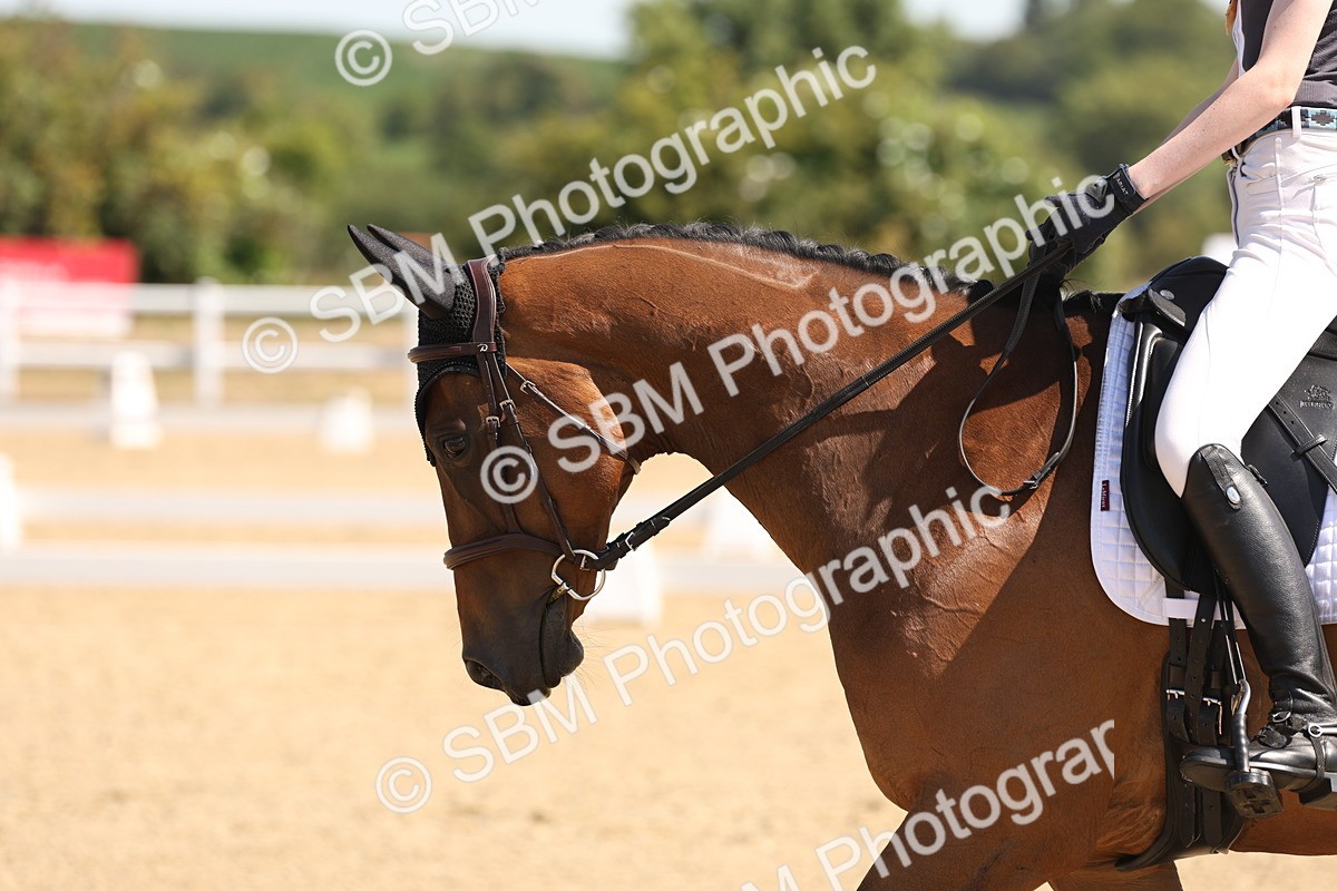 SBM_001137 - Intro 2