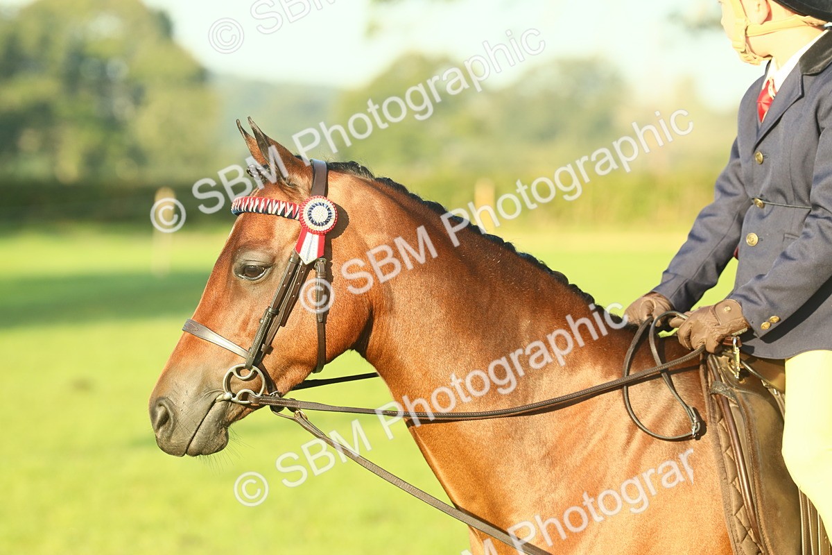 SBM_56710 - S36 - Starters Best Turnout