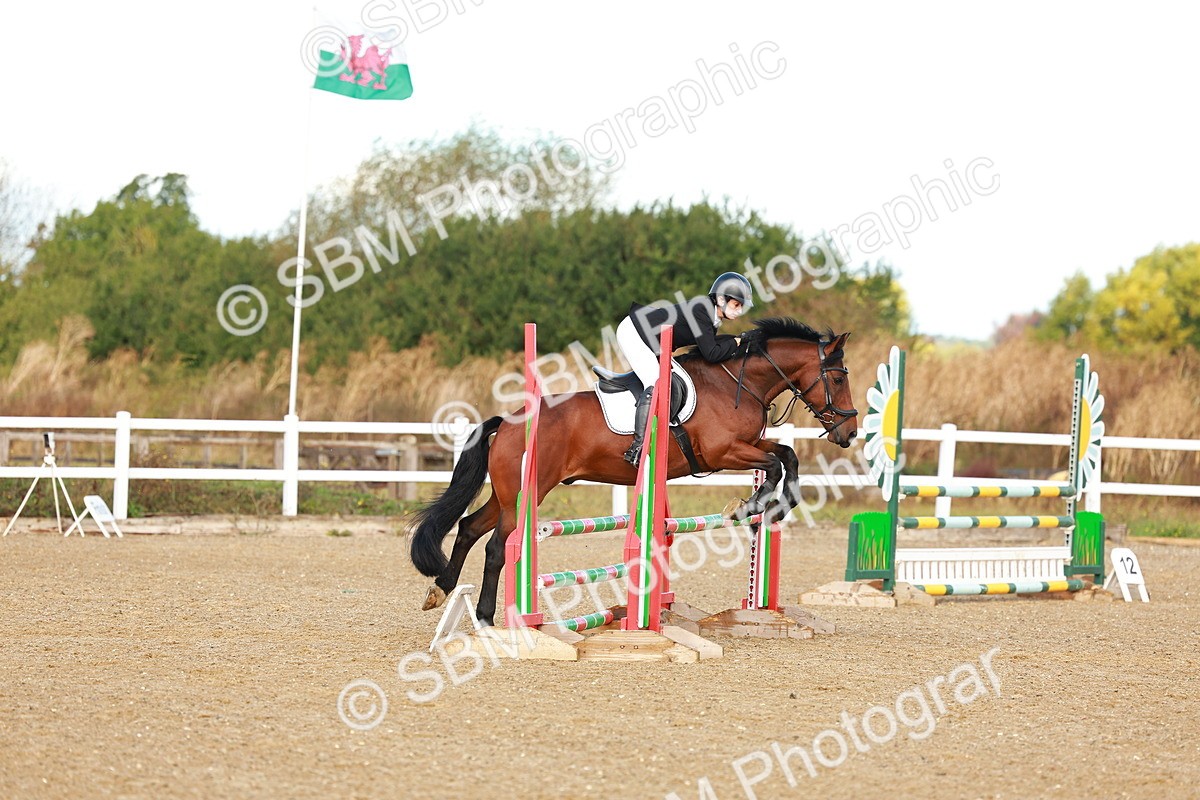 SBM_000318 - Class 2 - Senior British Novice - 90cm