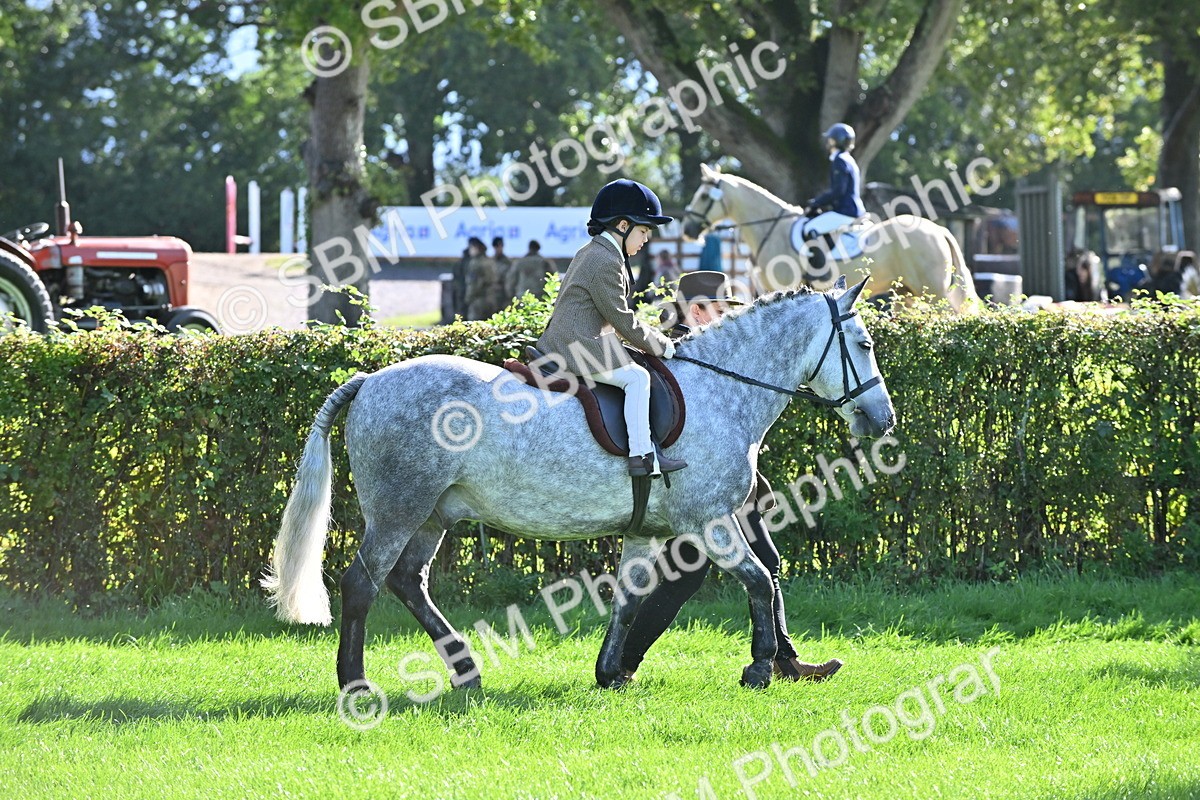 SBM_37421 - S18 - Novice & Newcomer Lead Rein Pony