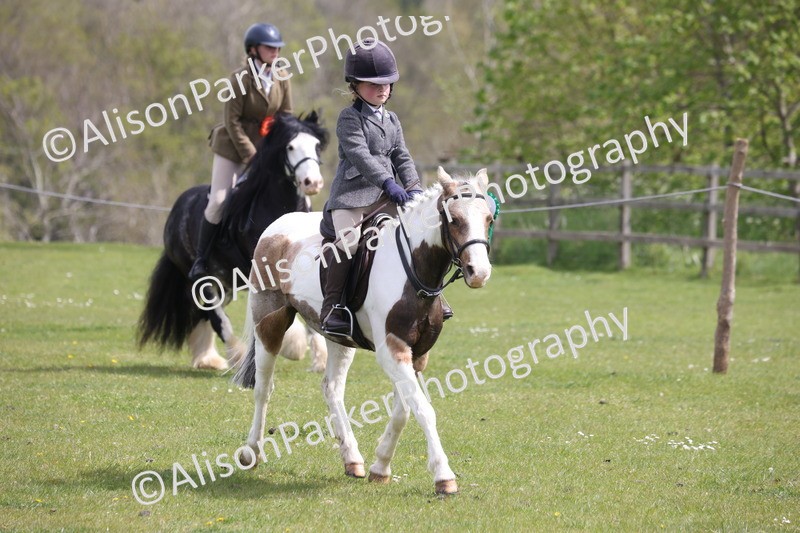 20260426-4058 - Class 33 - Best Pony 14.2hh and Under