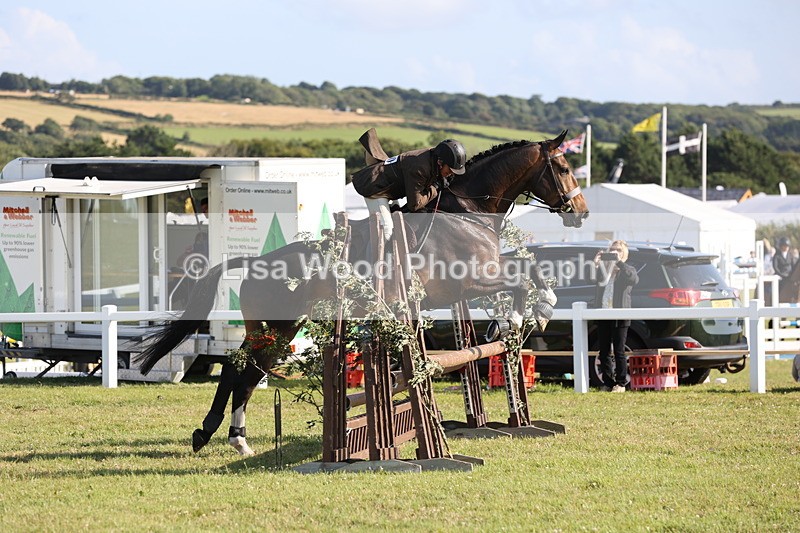 JPP_3102 - Class 21: Working Hunter 80cm