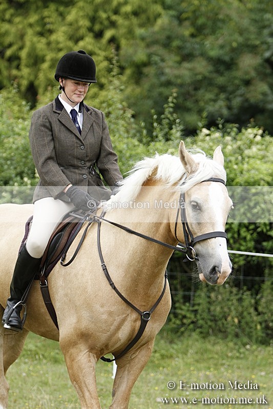 BVR160717-386 - Ring 3 BVRC Show 16/07/17