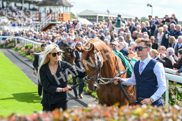 230824-Race 2-Vauban-8751 - Race 2 2.25pm Weatherbys Hamilton Lonsdale Cup Stakes
