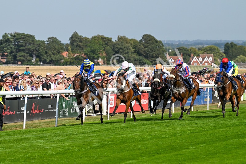 240825-Race 2-Smart Vision-1973 - Race 2