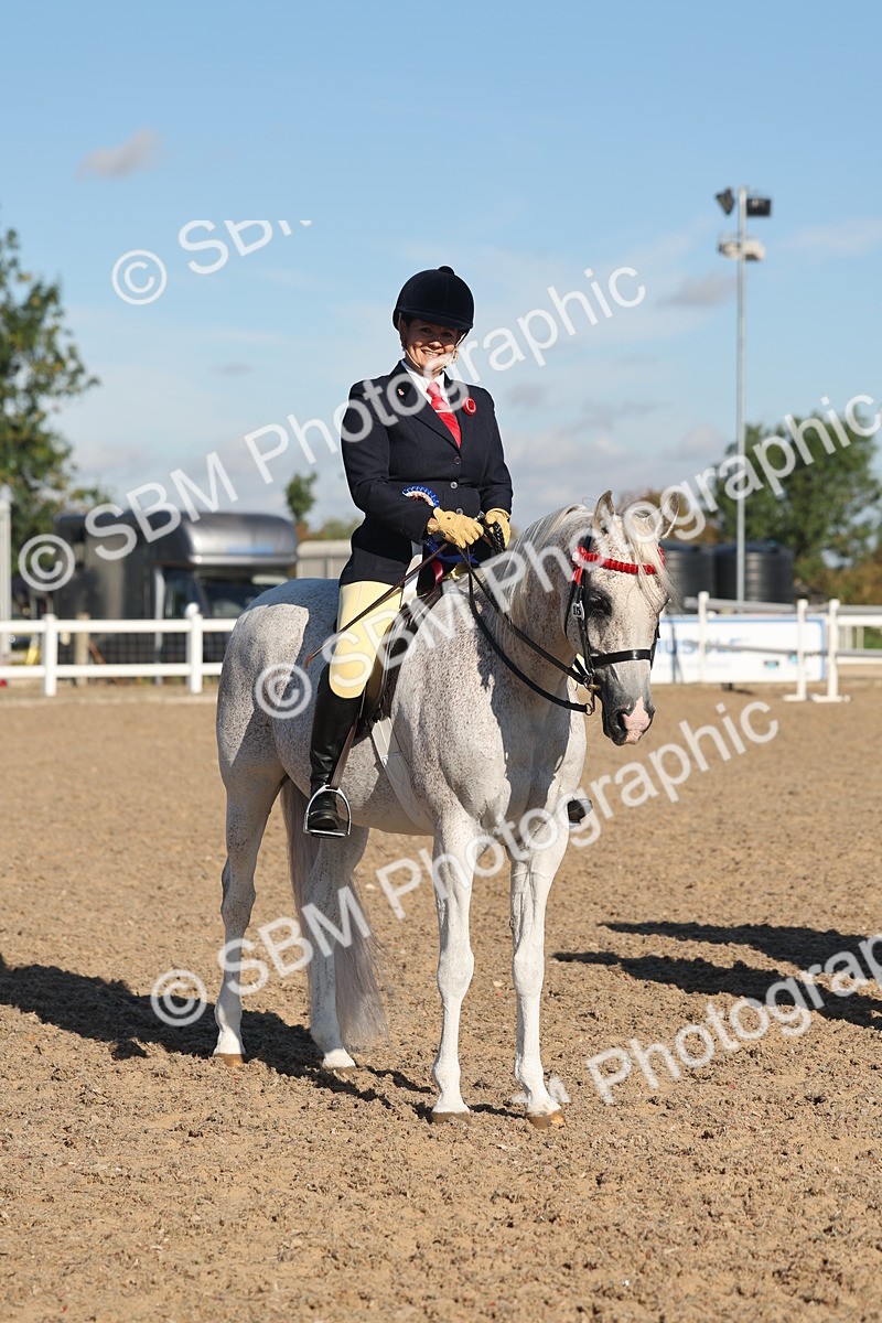 SBM_12251 - Class 303 - Ridden Pure Bred Horse Pony
