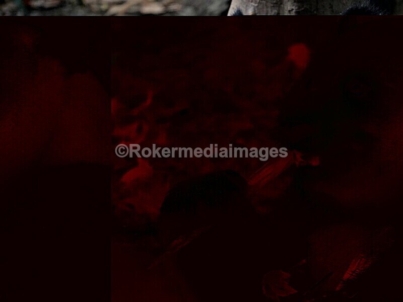 CHINA__0062 - China 2019