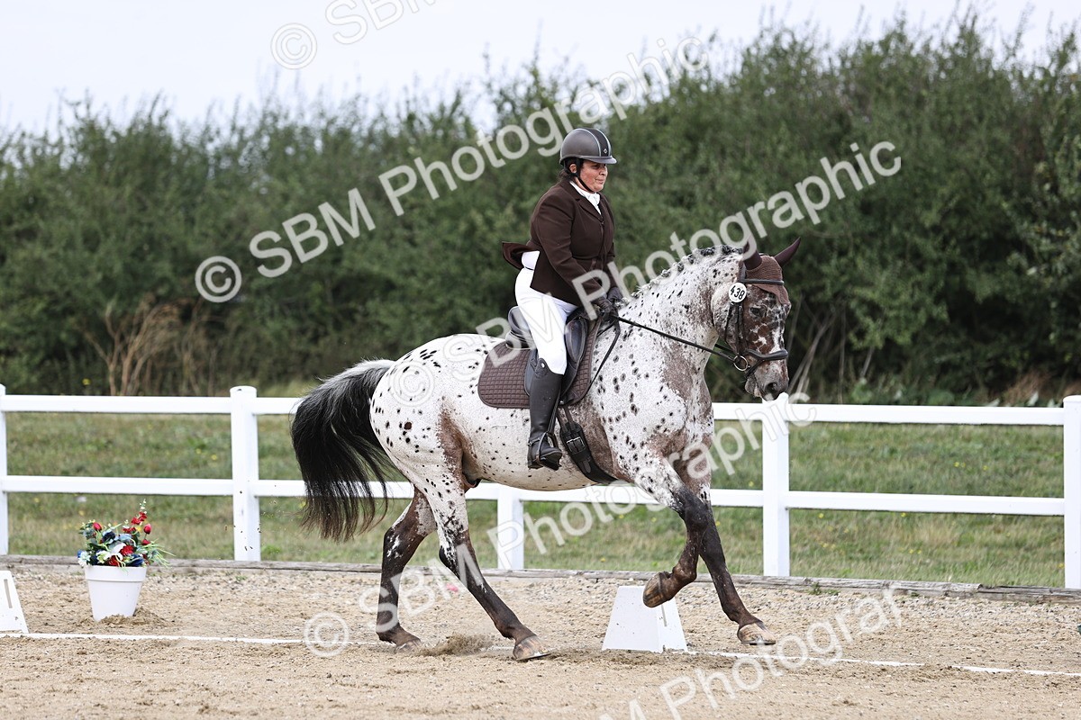 SBM_016851 - Class 14 Novice 23 - 11.53-12.56