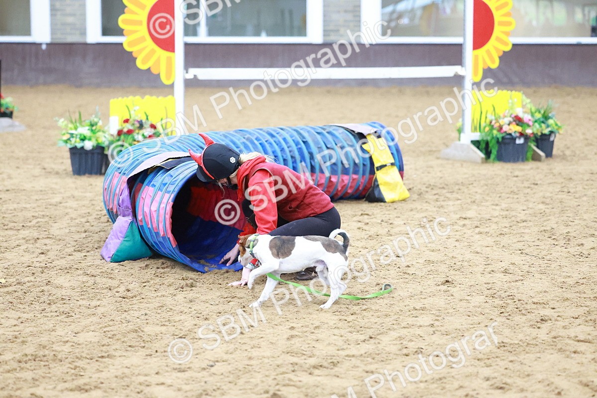 SBM_002114 - Class 3 - Horse & Hound (60cm)