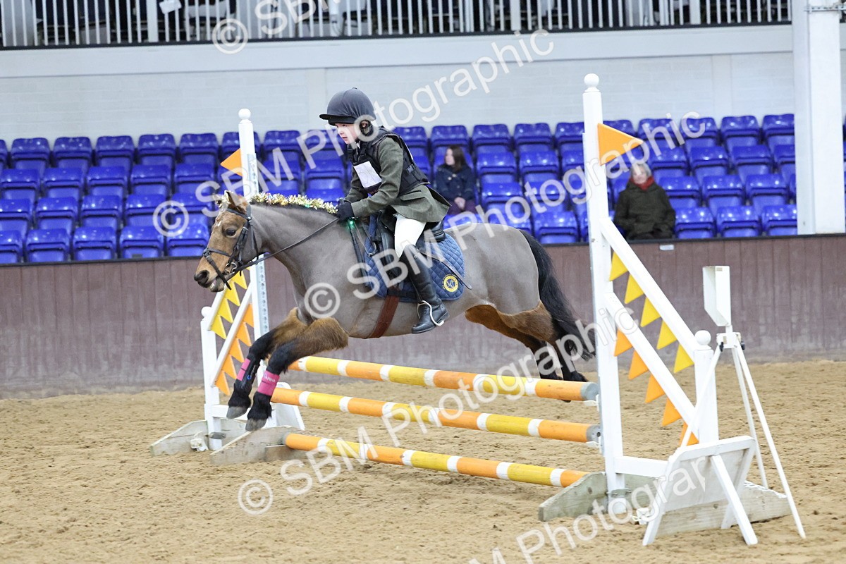 SBM_001140 - Class 3 - Christmas Tree Stakes - 60cm