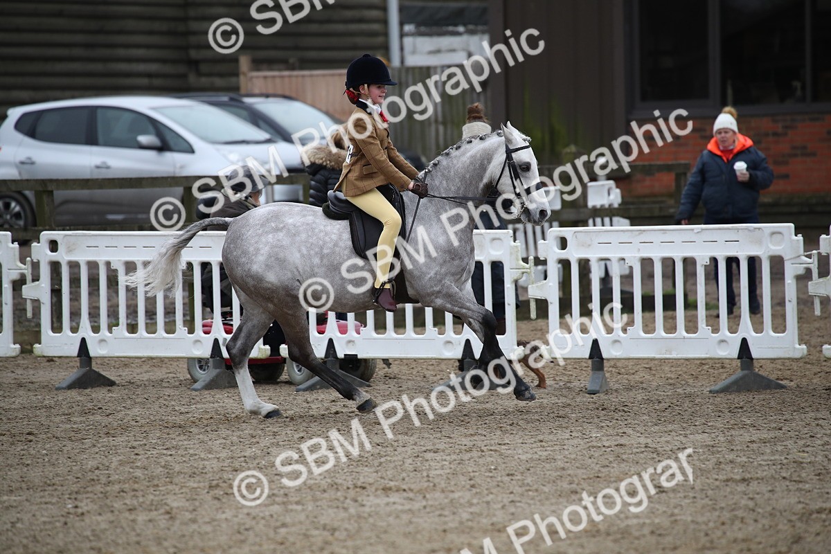 SBM_004671 - Class 5-9 - NPS In Hand-Show Hunter-Intermediate Ridden Inc Ridden Championship