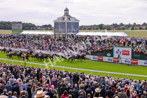 yr17082022r1-041 - Race 1 1.50pm Sky Bet & Symphony Group Stakes