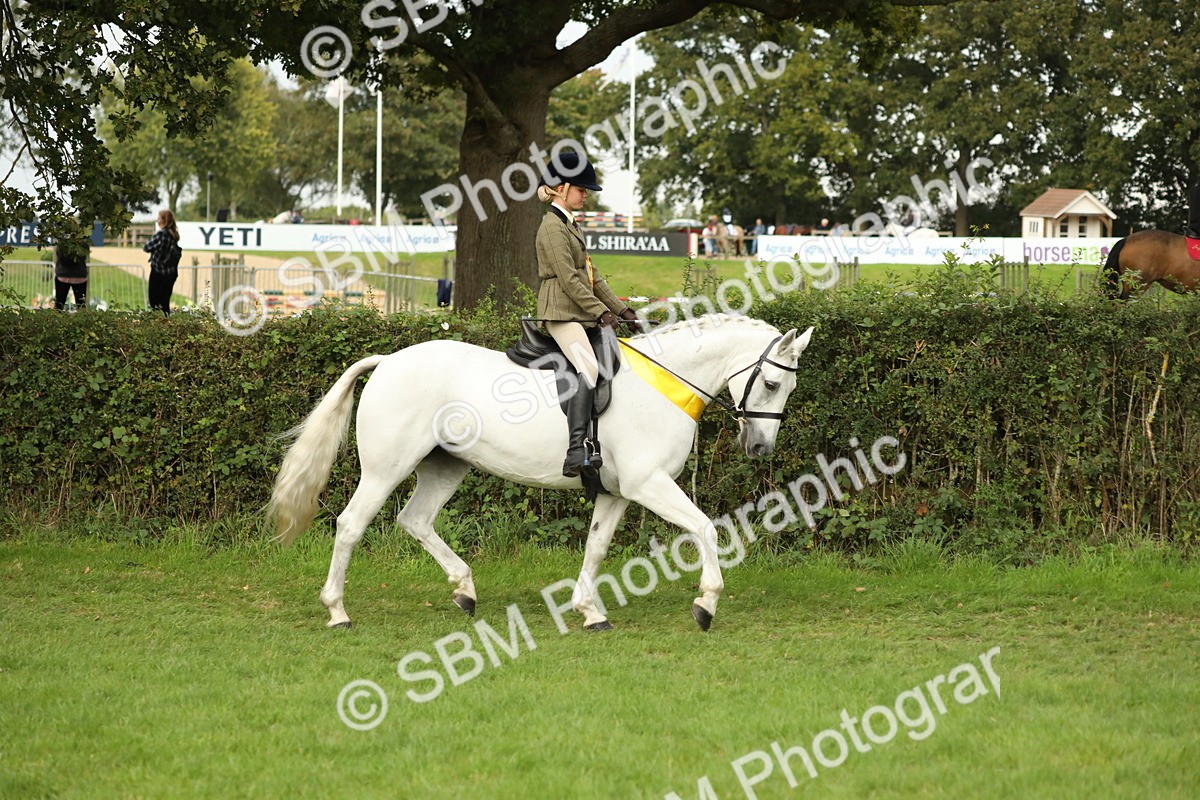 SBM_75347 - Equitation Supreme Championship